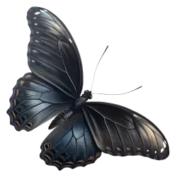 Imagen PNG para descargar